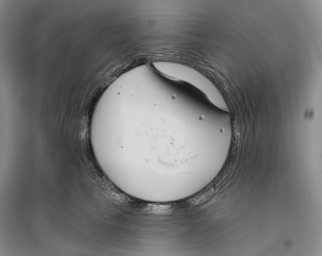X0000096430665200802211148