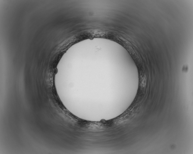 X0000096430666200802211148