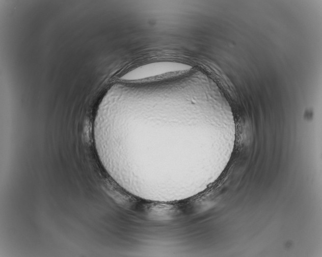 X0000096430669200802211148