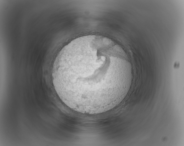 X0000096430672200802211149