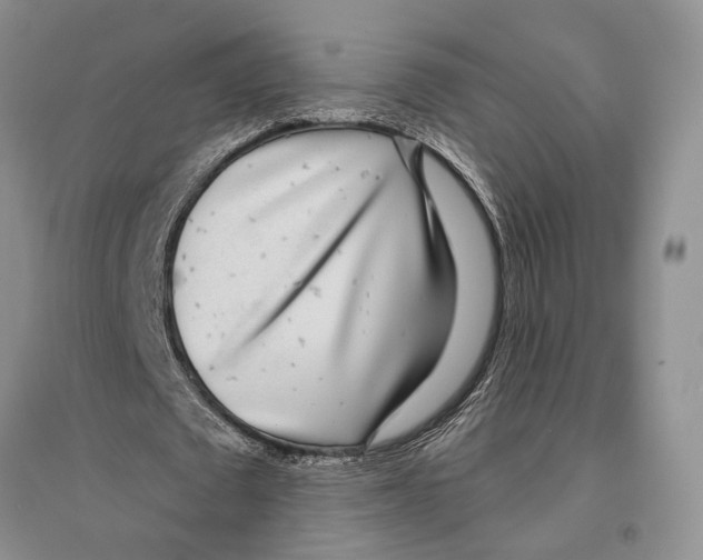 X0000096430673200802211148