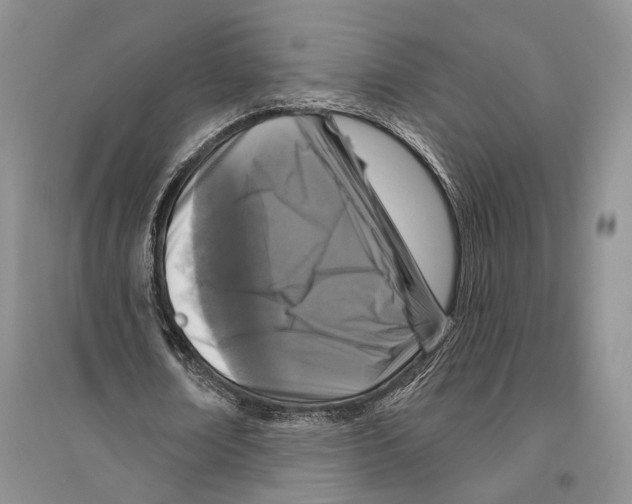 X0000096430674200802211148