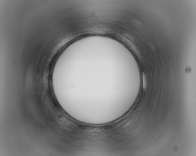 X0000096430675200802211148