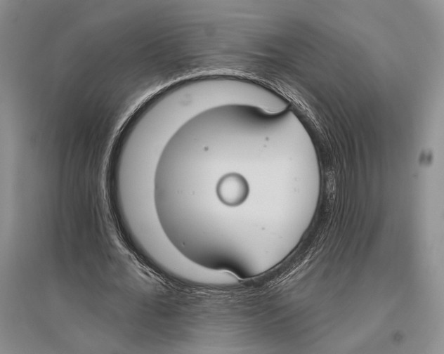 X0000096430676200802211148