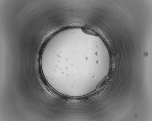 X0000096430677200802211148