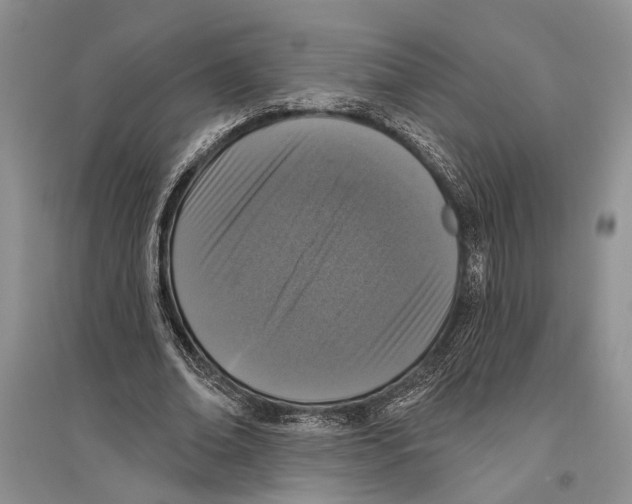 X0000096430678200802211148