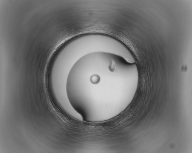X0000096430680200802211148