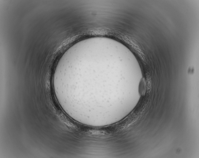X0000096430681200802211148