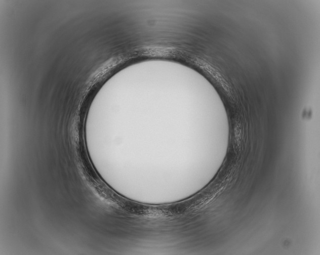 X0000096430682200802211148