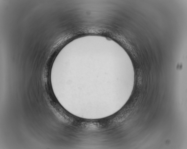 X0000096430683200802211148