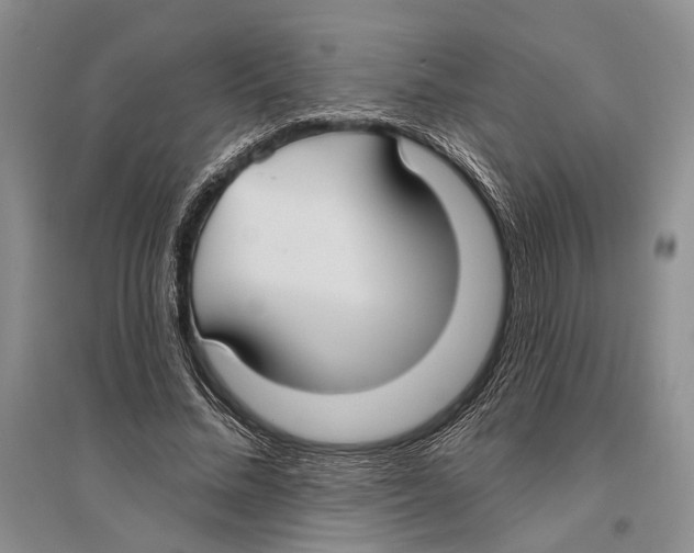 X0000096430684200802211148