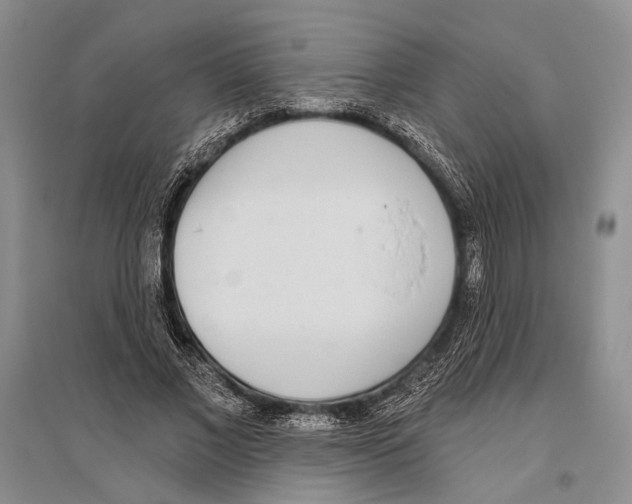 X0000096430685200802211148