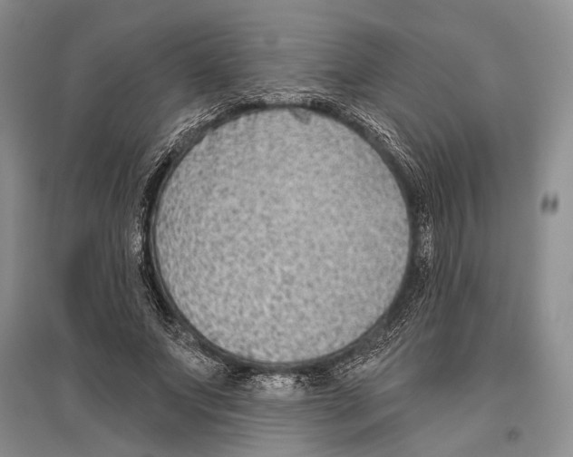 X0000096430687200802211148