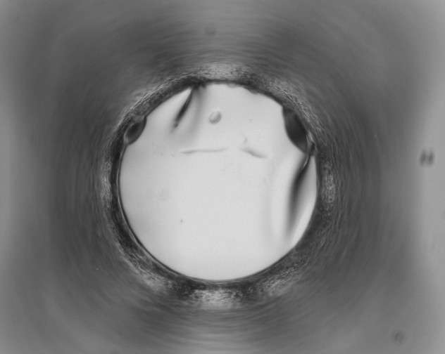 X0000096430688200802211148
