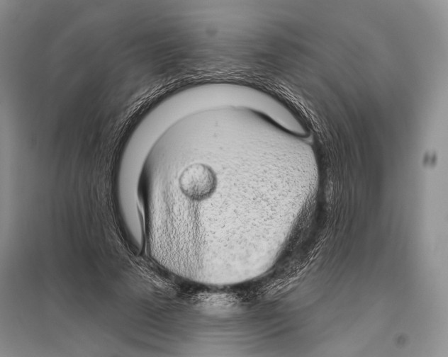 X0000096430689200802211148