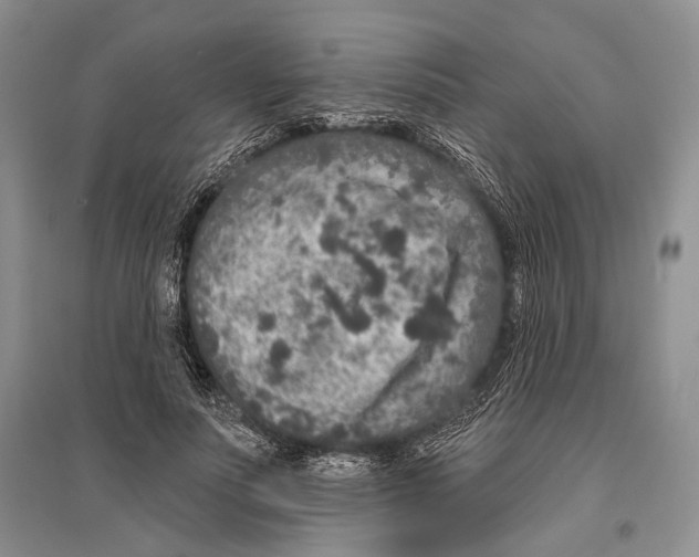 X0000096430691200802211148