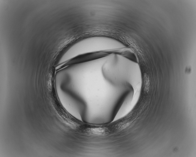 X0000096430692200802211148