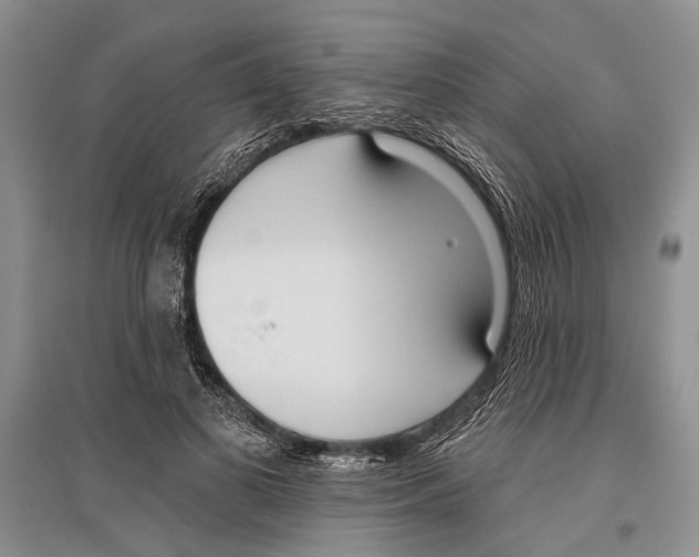 X0000096430693200802211148