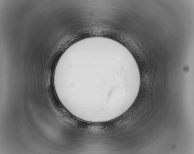 X0000096430694200802211148