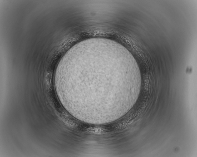 X0000096430695200802211148