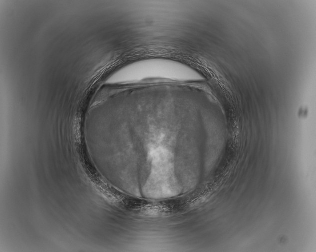X0000096430696200802211148