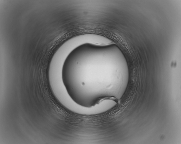 X0000096430697200802211147