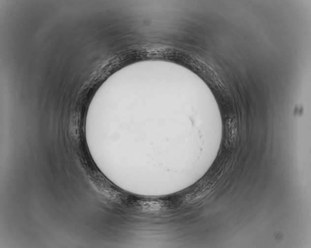 X0000096430698200802211147
