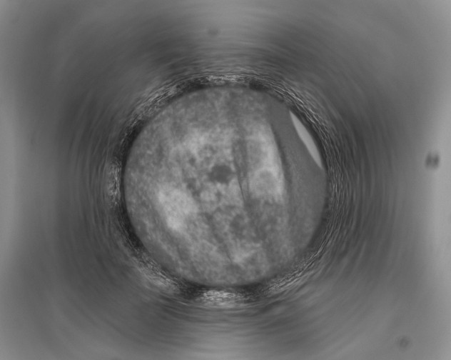X0000096430699200802211147