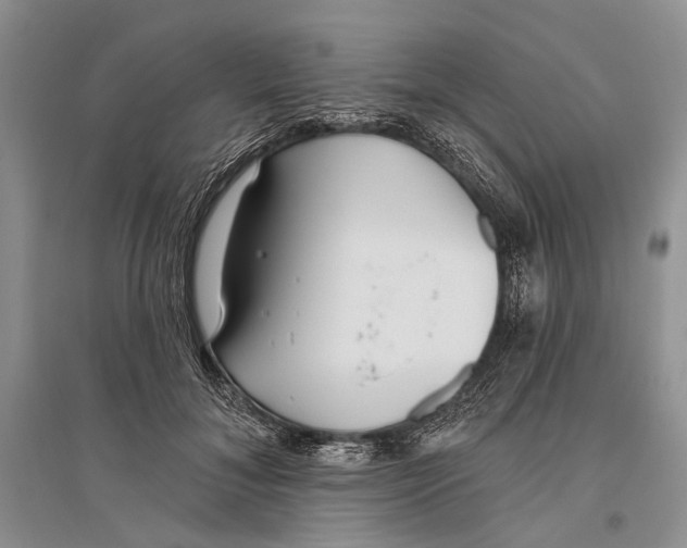 X0000096430700200802211147