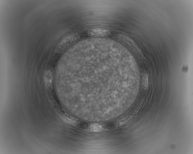 X0000096430701200802211147