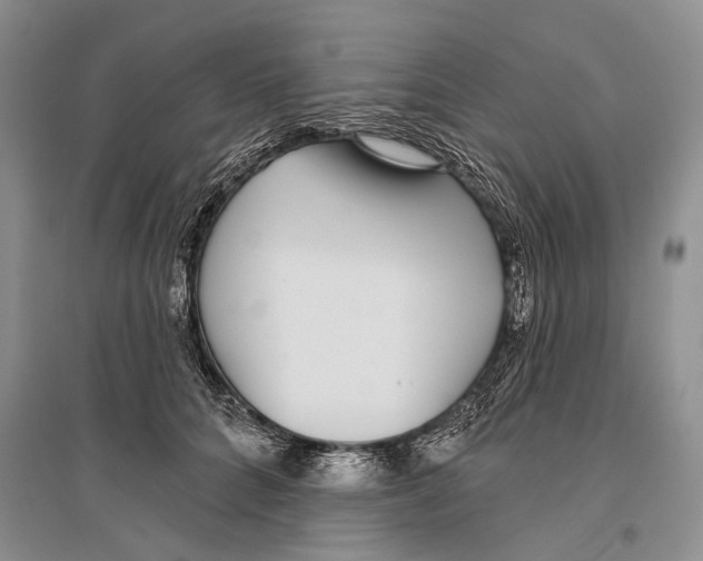 X0000096430704200802211147