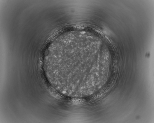 X0000096430707200802211147