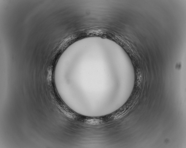 X0000096430708200802211147