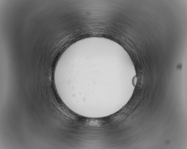 X0000096430710200802211147