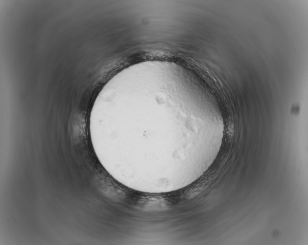 X0000096430715200802211147