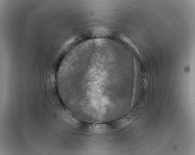 X0000096430716200802211147