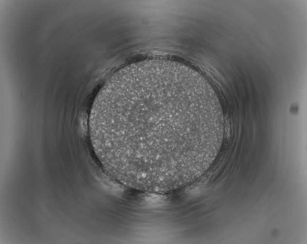 X0000096430718200802211147
