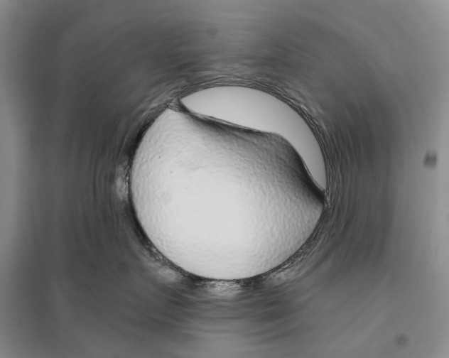 X0000096430719200802211147