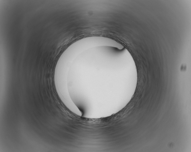X0000096430720200802211147