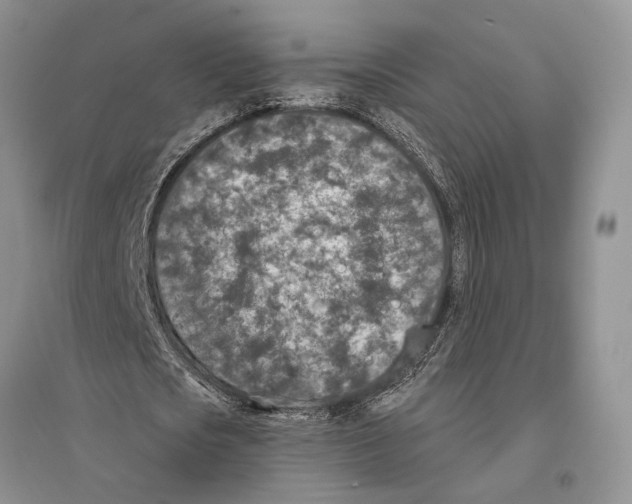 X0000096430721200802211147