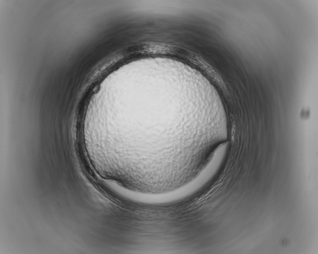 X0000096430722200802211147
