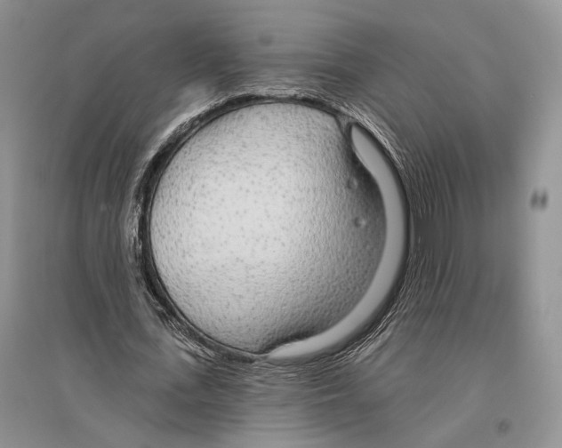 X0000096430723200802211147