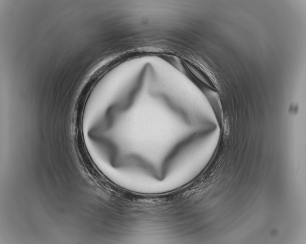 X0000096430724200802211147