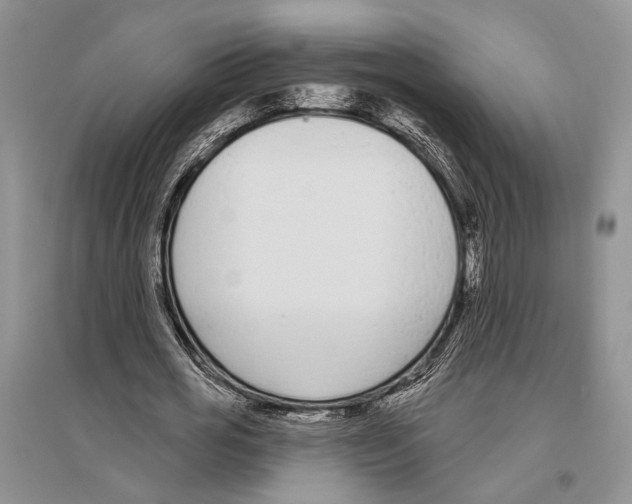 X0000096430725200802211147