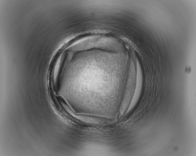 X0000096430726200802211147