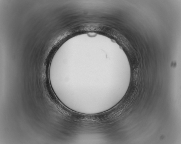 X0000096430727200802211147