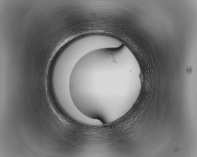 X0000096430728200802211147