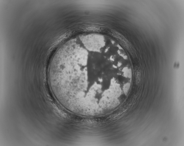X0000096430729200802211147