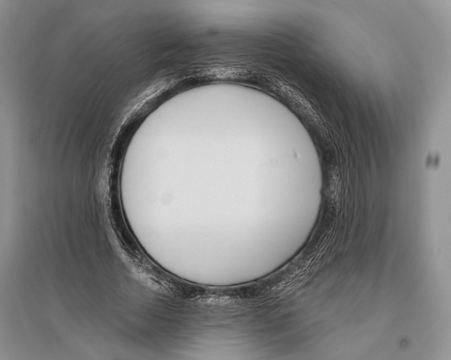 X0000096430730200802211147
