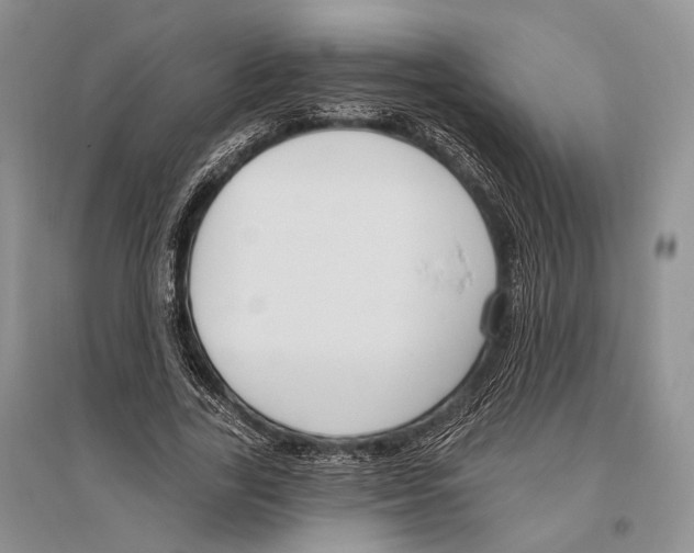 X0000096430731200802211147